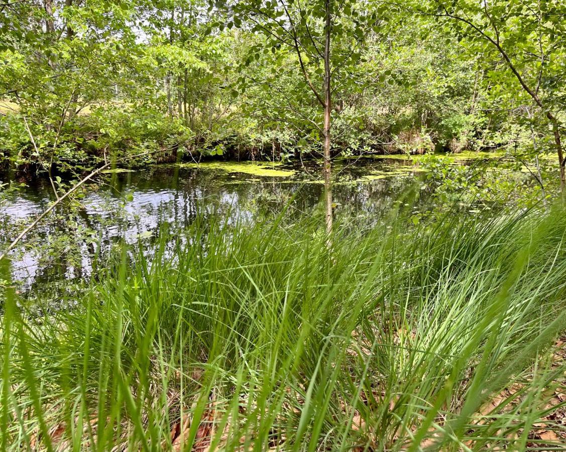 Landzicht Natuur Rust En Ruimte Oosterwolde  Exterior foto