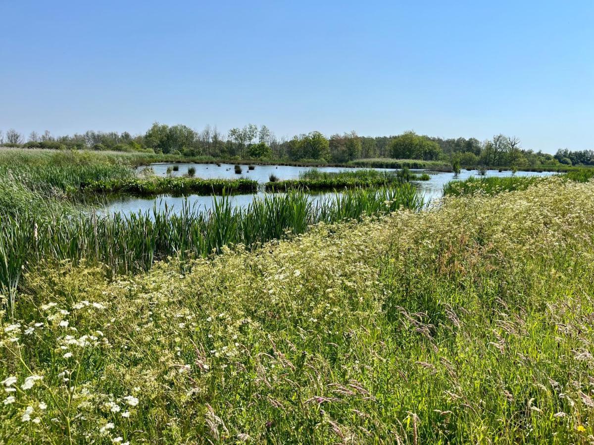 Landzicht Natuur Rust En Ruimte Oosterwolde  Exterior foto