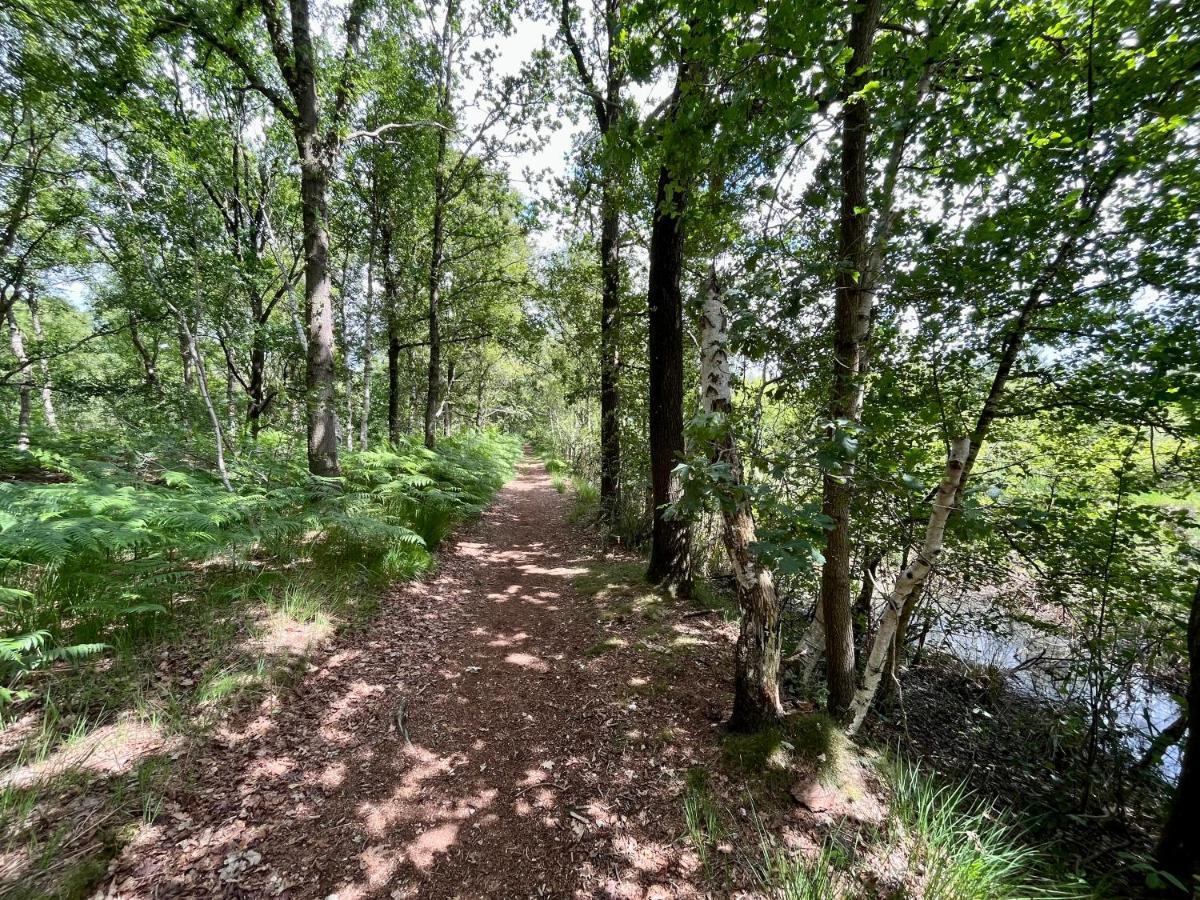 Landzicht Natuur Rust En Ruimte Oosterwolde  Exterior foto