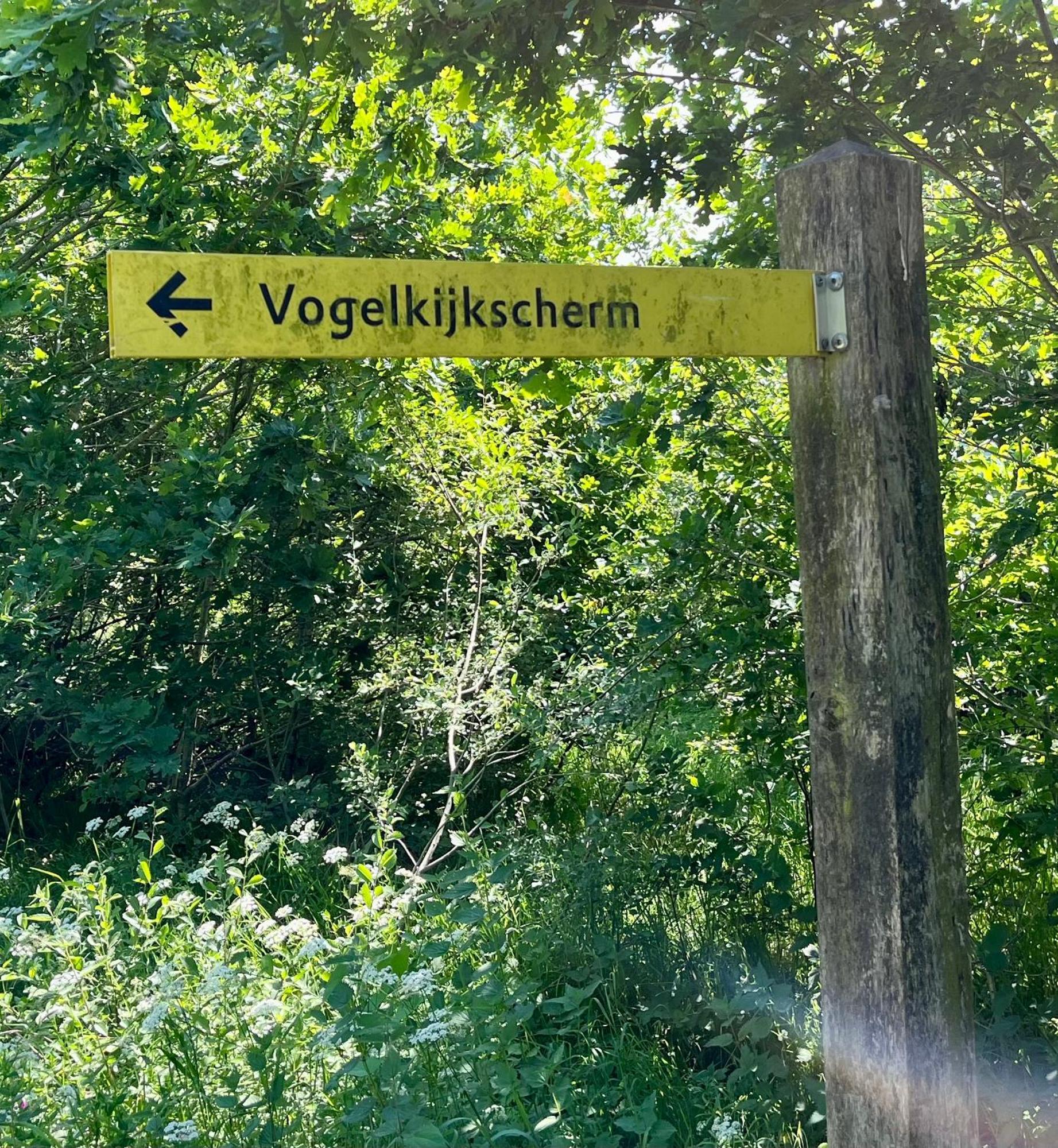 Landzicht Natuur Rust En Ruimte Oosterwolde  Exterior foto